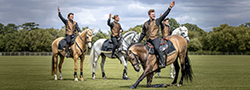 OG Performance Horses OG Performance Horses