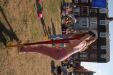 Carnival Thursday August 2022