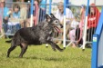 Cromer Carnival Saturday 2024