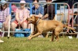 Cromer Carnival Saturday 2024