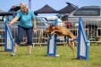 Cromer Carnival Saturday 2024