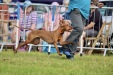 Cromer Carnival Saturday 2024